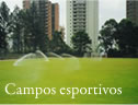 Campos esportivos