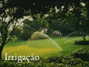 Irriga&ccedil;&atilde;o